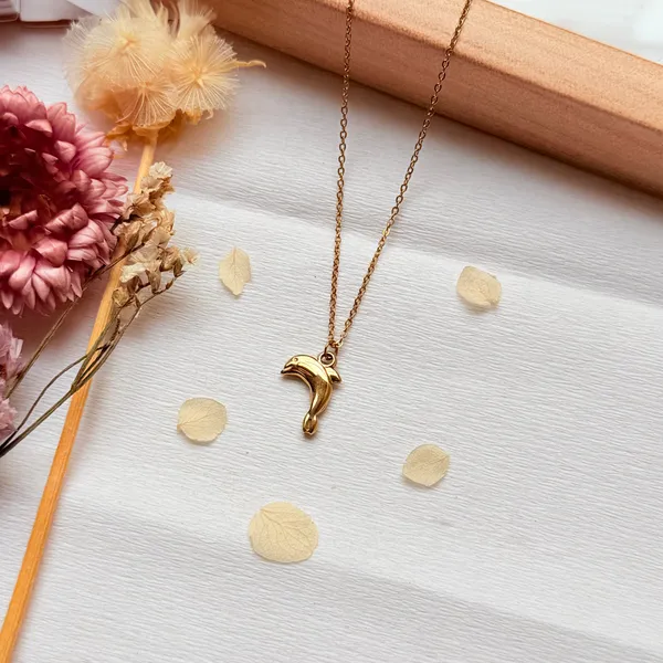 Gold_Dolphin_Fish_Anti_Tarnish_Locket